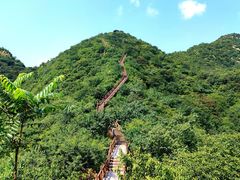 -大岭沟猕猴桃谷风景区