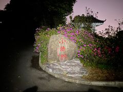 -梧桐山风景名胜区