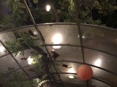 -zarah(鼓楼店)