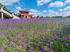-长白山万达国际度假区
