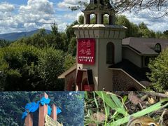 -五营红松林海景区