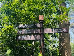 -铁山坪森林公园