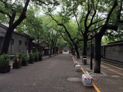 -北京国子监胡同