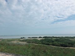 -北海金海湾红树林生态旅游区