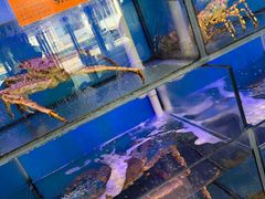 -好彩海鲜火锅饭店(银河百老汇店)