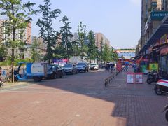 -蓝光·圣菲悦城二期