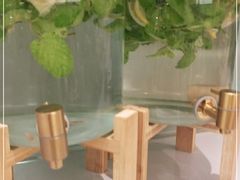 -小满手工粉(北京来福士店)