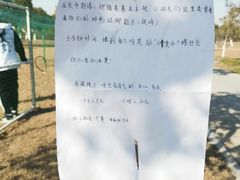 -上海都市菜园