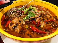 -熊猫川菜馆 panda chine