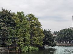-荔湾湖公园
