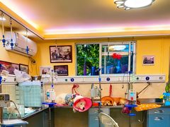 -动物缘宠物医院·骨科·猫科(西二环店)