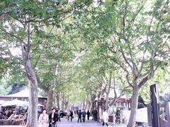 -静安公园(静安寺街道)
