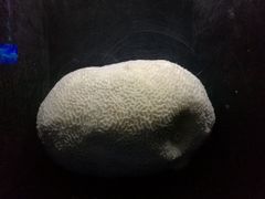 -同济大学四平路校区深海探索馆