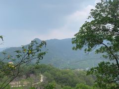-东莞观音山旅游风景区
