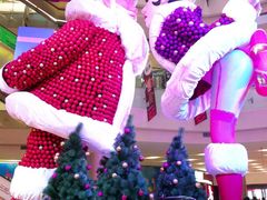 IMG_1482-凯德广场(学府店)