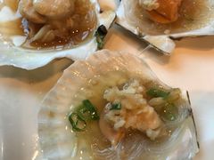 扇贝-新天世纪中餐厅