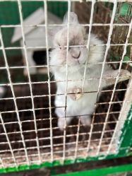 -可可天空农场(中大店)