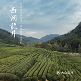杭州茶园 | 西湖明前龙井