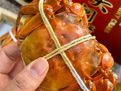 -黄记大闸蟹专卖店·活蟹·醉蟹