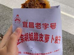 -半月镰胡姐脆皮萝卜饺子