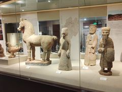 -乐山市博物馆