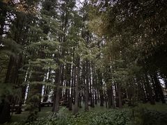 -东湖落雁景区