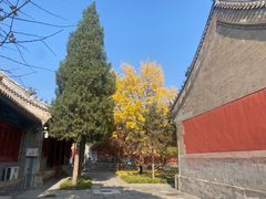 -大钟寺古钟博物馆