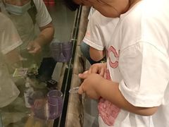 -萌宠奇缘