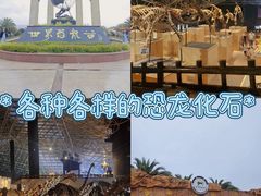 -世界恐龙谷景区