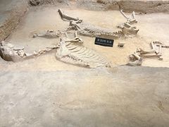 -洛阳周王城天子驾六博物馆