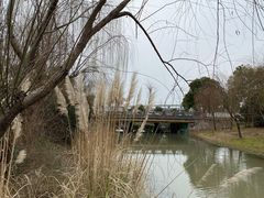 -南翔镇银翔湖公园