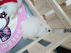 -方恒购物中心(望京小街店)