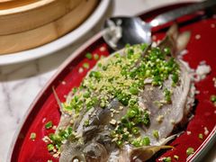 -钟菜·粤菜点心·宴请(海上世界·汇港二期店)