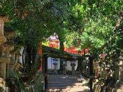 -奈良公园