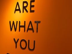 -健身专家Wellness Experts