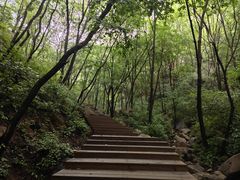 -大岭沟猕猴桃谷风景区
