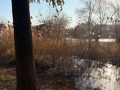 -长广溪湿地公园