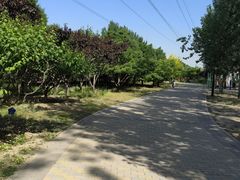 -古塔公园