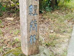 -天坛大佛