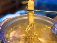 -千岛蚝高压锅生蚝·人参火锅(白云万达店)