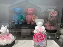 -ROSEONLY诺誓(国际广场购物中心店)