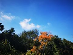 -菊花台公园