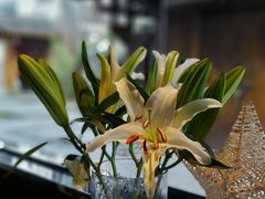 -都氏家DUSJOY(翡翠城店)