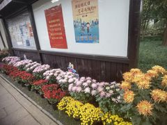 -上海醉白池公园