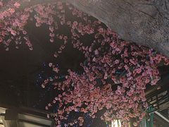 -宋徽厨·安徽菜(安庆绿地店)