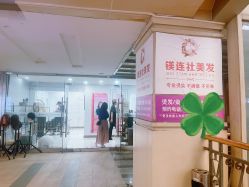 点击看大图 -镁连社·美联社