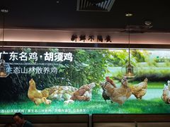 -野·大山里野生菌石锅土鸡(益田假日店)