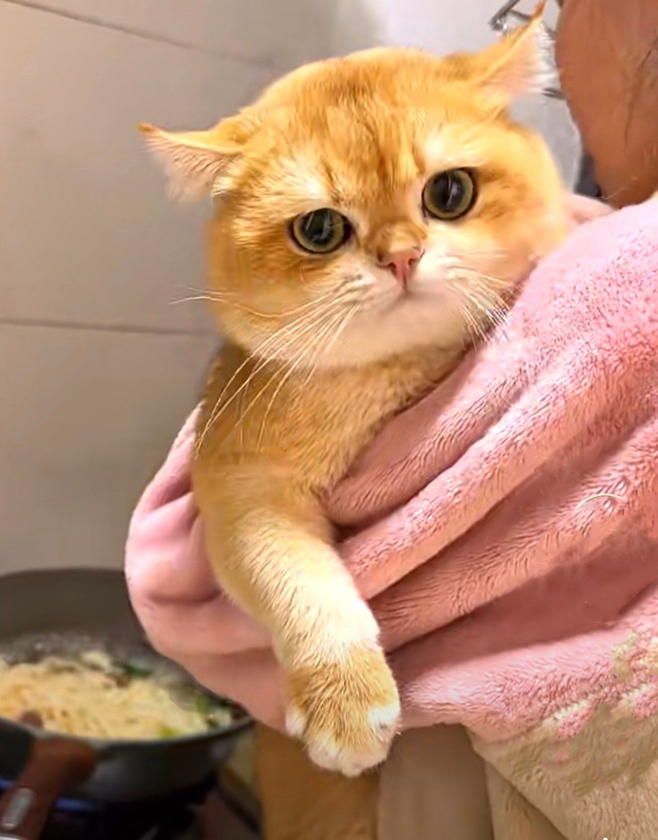 做饭也要抱抱贴贴,这个粘人的小妖精99