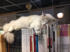 -小时光咖啡馆(开森度假森林店)
