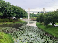 -东莞植物园